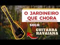 O Jardineiro que chora - Solo Guitarra Havaiana com Ulisses Meneses