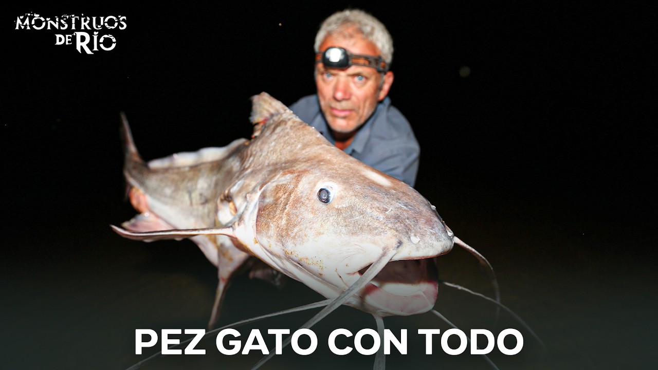 Pez Gato En Episodio Completo | Monstruos de Río