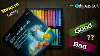 Buy or Not ??😨 # Mungyo Gallery soft oil pastel review # Honest Review ❤ screenshot 5