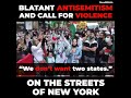 Antisemitic protesters in New York