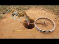 Unique Creative Underground Quick Tiger Trap Make From Old Bicycle Wheel & Deep Underground Hole