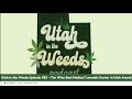 Tim Wins Best Medical Cannabis Doctor in Utah Award - Utah in the Weeds Episode #63