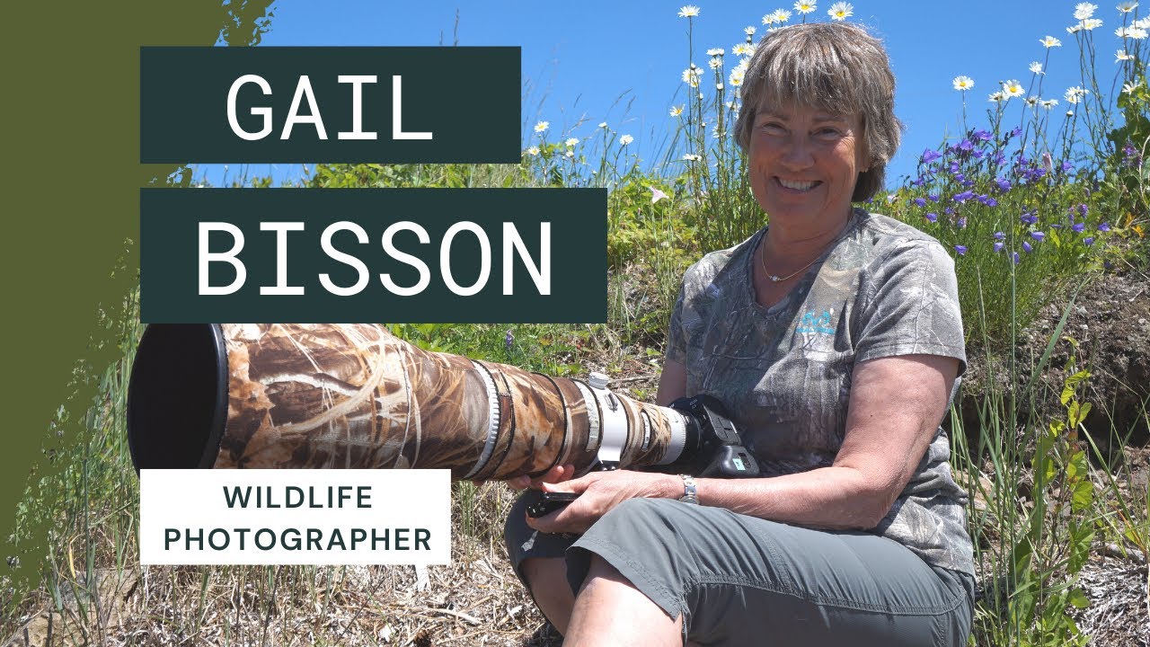 Gail Bisson, Photographer - YouTube