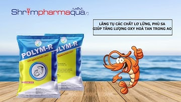 POLYM – R _ Lắng tụ các chất lơ lững, phù sa giúp tăng lượng oxy hoà tan trong ao.