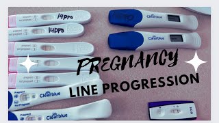 Pregnancy Test Line Progression