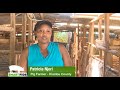 Pig farming the way to go - Kiambu part 2