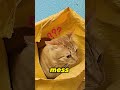 This man took the wrong cat