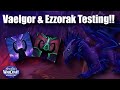 Vaelgor And Ezzorak Raid Testing WoW Beta Havoc And Devourer Testing 