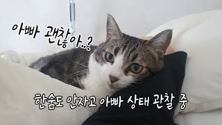 백신2차 후유증으로 아픈 집사 곁을 떠나지 않는 고양이