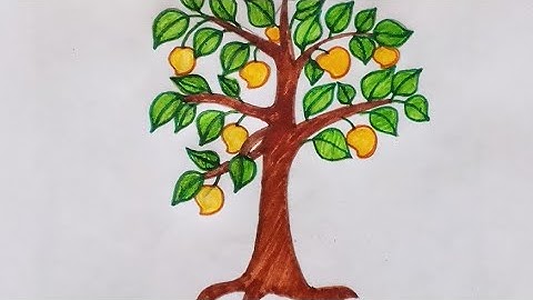 Mango tree drawing || how to draw mango tree easy step by step || aam ka pedh ka chitra 