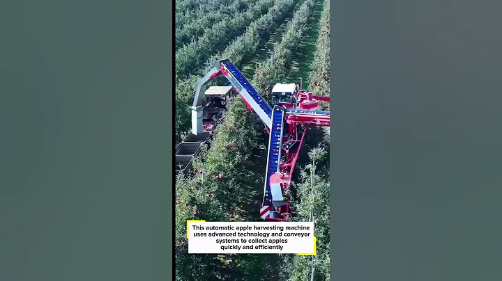Amazing Apple Harvesting Machine in Action! 🍎🚜 | Smart Farming Innovation