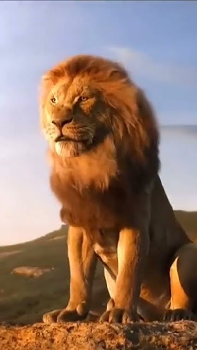 Story' Wa Singa Raja Hutan Keren #shortvideo