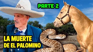 VIDA y MUERTE de EL PALOMINO, el CABALLO DEL CORRIDO