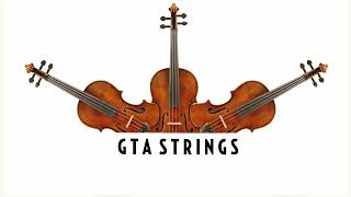 Hoppípolla(  Sigur Rós  )-  String Quartet COVER by GTA Strings