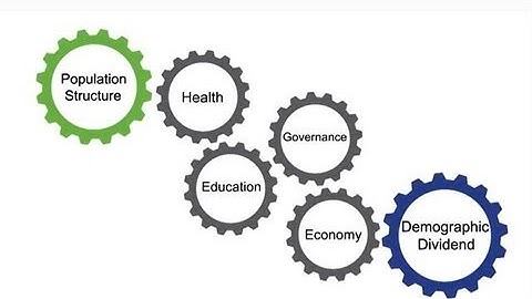 Distilled Demographics: The Demographic Dividend