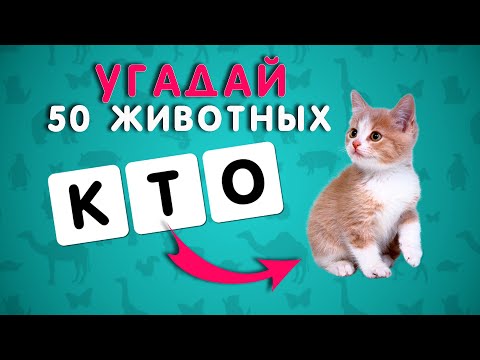 Видео: УГАДАЙ 50 ЖИВОТНЫХ ПО БУКВАМ ЗА 8 СЕКУНД🐗🐻🦓🐸🦍