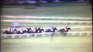 Druimfada wins the 1980 President's Cup