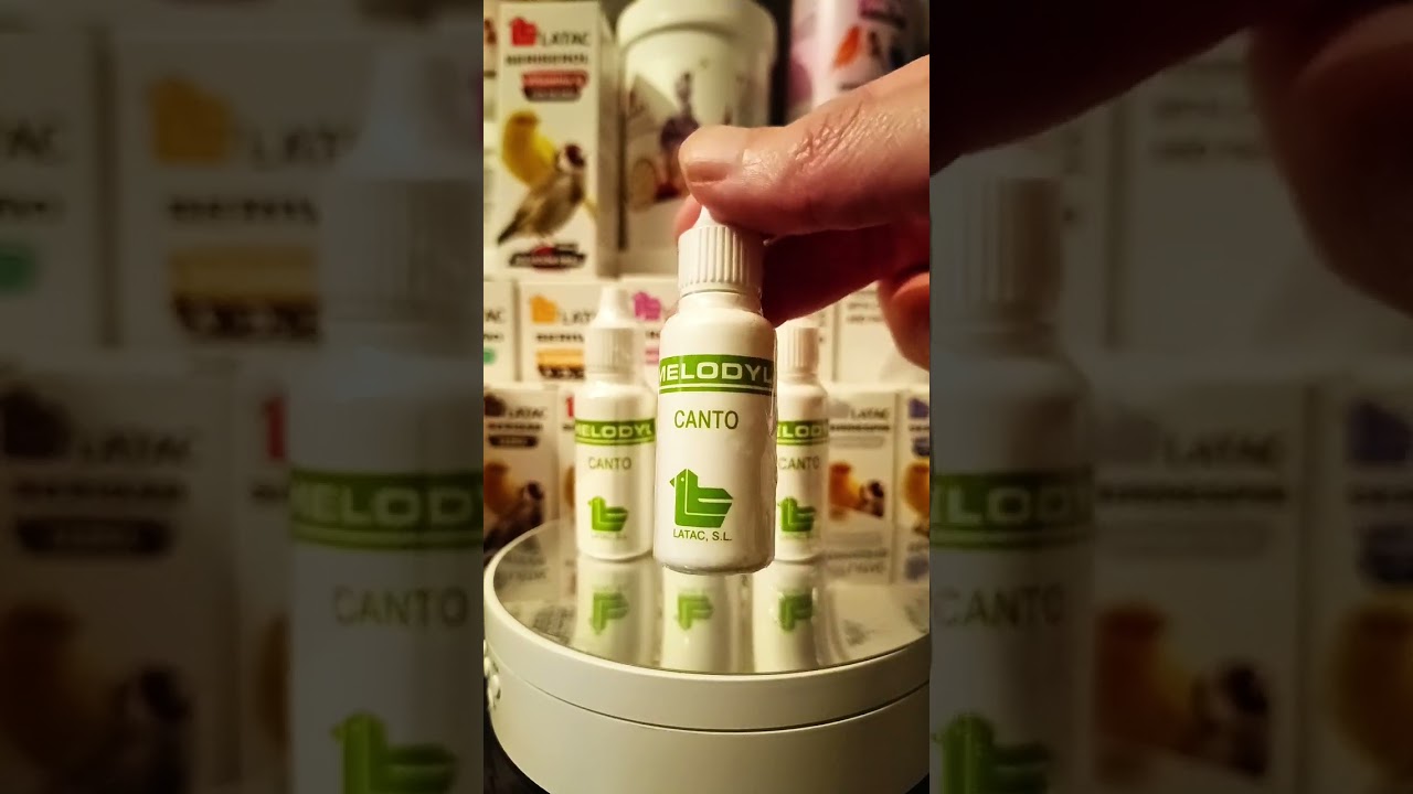 طريقة تقديم MELODYL CANTO التغريد و الخصوبة