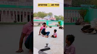 Magic Snake Video