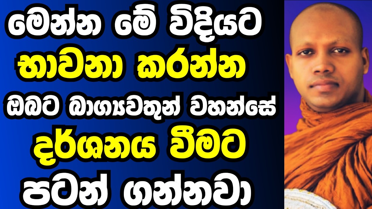 මේ විදියට භාවනා කරන්න ඔබට බග්‍යවතුන් වහන්සේ දර්ශනය වීමට පටන්ගන්නවා | Ven hasalaka seelawimala thero