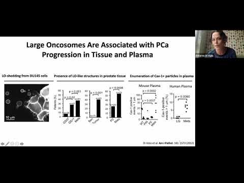 Molecular Heterogeneity of