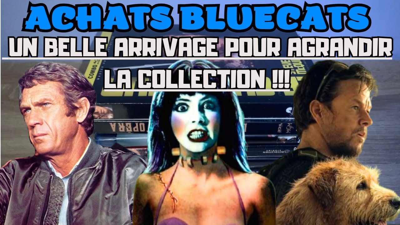 ACHATS BLUECATS 🐱 UN BELLE ARRIVAGE POUR AGRANDIR LA COLLECTION !!!