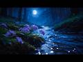3 Hour Deep Sleep Music 🌙 Calm Piano & Stream Sounds | Drift Into Slumber