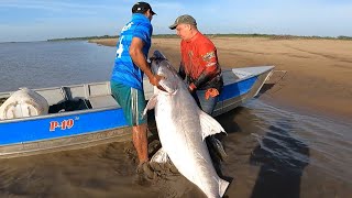 Después de tres años buscándolo, volvimos a encontrarnos con el rey de los rios, pez de 206 libras.