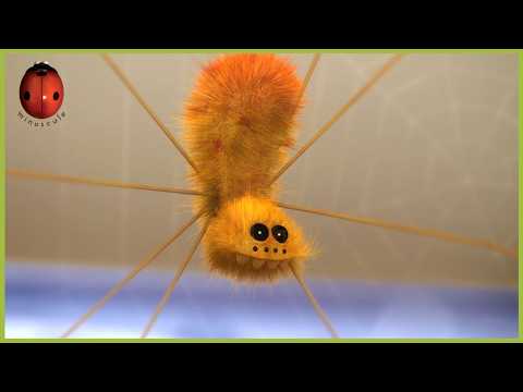 Brushing | Minuscule | 40' Compilation