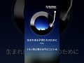 生まれ来る子供たちのために cover
