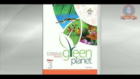 WORK WE DO || CLASS 3 || E.V.S || CHAPTER 9 || FULL CHAPTER || MPES Classes