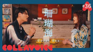 #36 珊瑚海-Coral Sea- | 周杰倫(Jay Chou)feat.梁心頤(Lara) | COVER | COLLAVOICE
