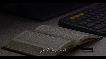 سورة مريم | 23 - 24 | القارئ : #شريف_مصطفى #quran #راحة_نفسية #viral #fyp #اجر_لي_ولكم