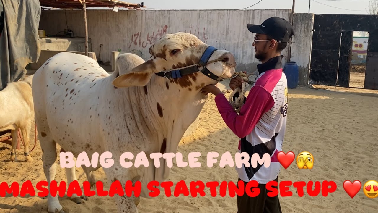 New farm unlocked 😱❤️