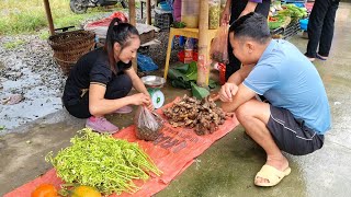 Gac Fruit Harvest \& Papaya Flower, Snails Goes to the market to sell | Ly Thi Tam