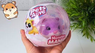 Cute Pets Alive Hamster Zuru ASMR Unboxing