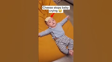Cheese stops baby crying🤯