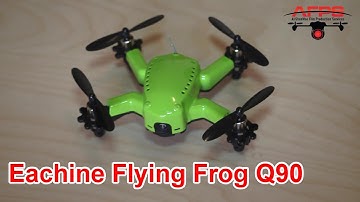 Eachine Flying Frog Q90 Unboxing and Setup