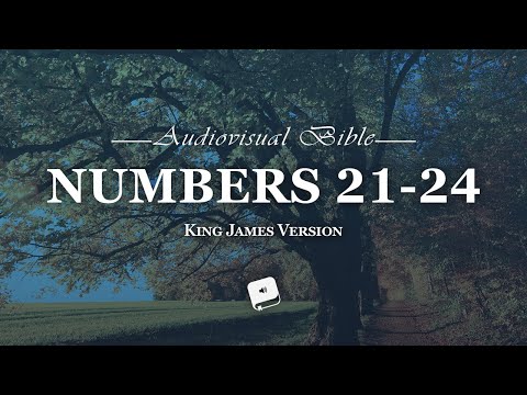 Numbers Chapter 21-24