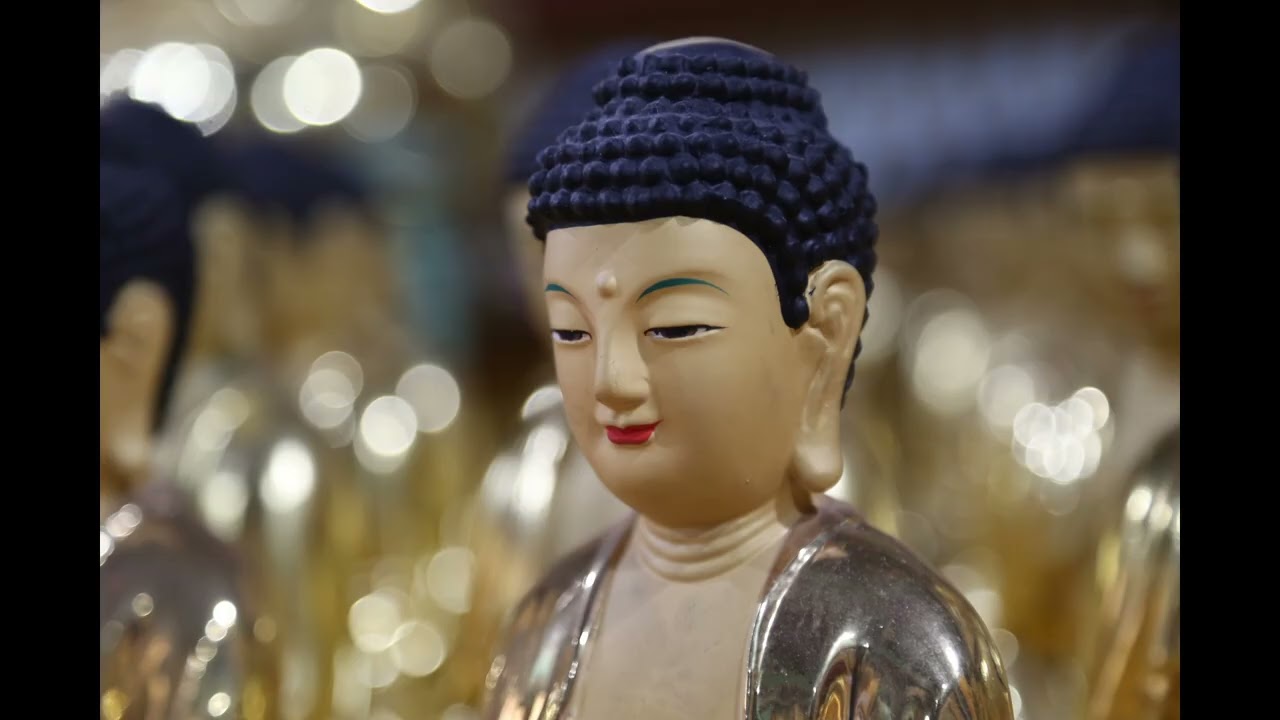 26년 3월 나주 금성산 다보사