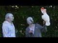 The Rubberbandits Guide to Birds