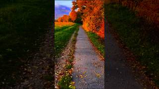 📍 Buchs, Switzerland 🇨🇭 Winter is coming🇨🇭 📌 #video #travel #nature #reels #mountains #livewallpaper