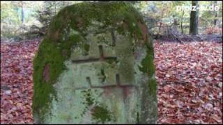 Geheimnisvoller Bienwald - Zeugen aus alter Zeit