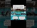 Apego Desorganizado: Por que você quer intimidade mas foge quando ela aparece #apegodesorganizado