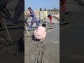 Concrete Roof Slab Casting with Heavy Rebar Mesh | Professional Mason Work