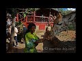 Martina Big - Malaika Kubwa - I love Giraffes