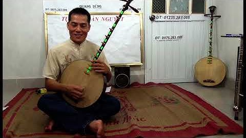 DẠY ĐÀN NGUYỆT CHO NGƯỜI DỐT CỰC DỐT CƠ BẢN 8