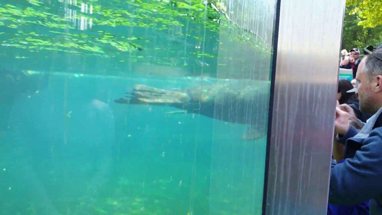 Zoo Vienna - YouTube