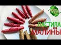 ПАСТИЛА ИЗ МАЛИНЫ 3 ВИДА! БЕЗ САХАРА! НЕ ВАРЁНАЯ!