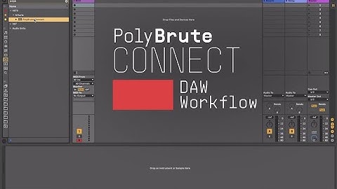 Tutorials | PolyBrute Connect - Episode 2: DAW Workflow
